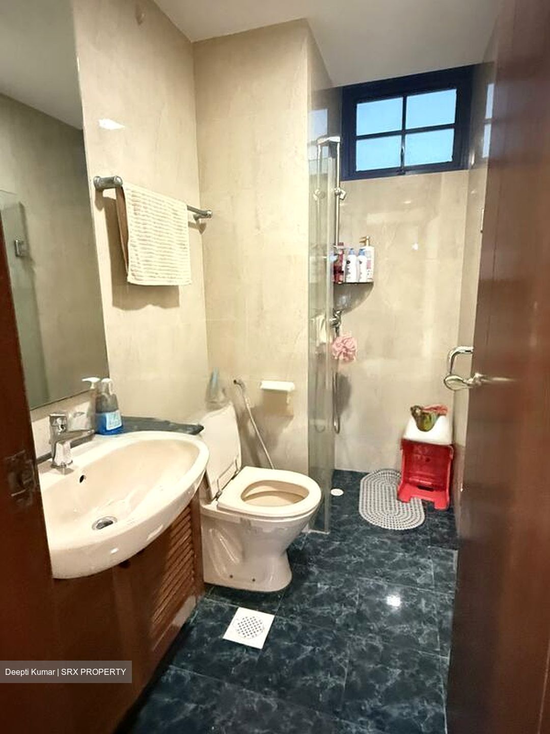 Sanctuary Green (D15), Condominium #485850531